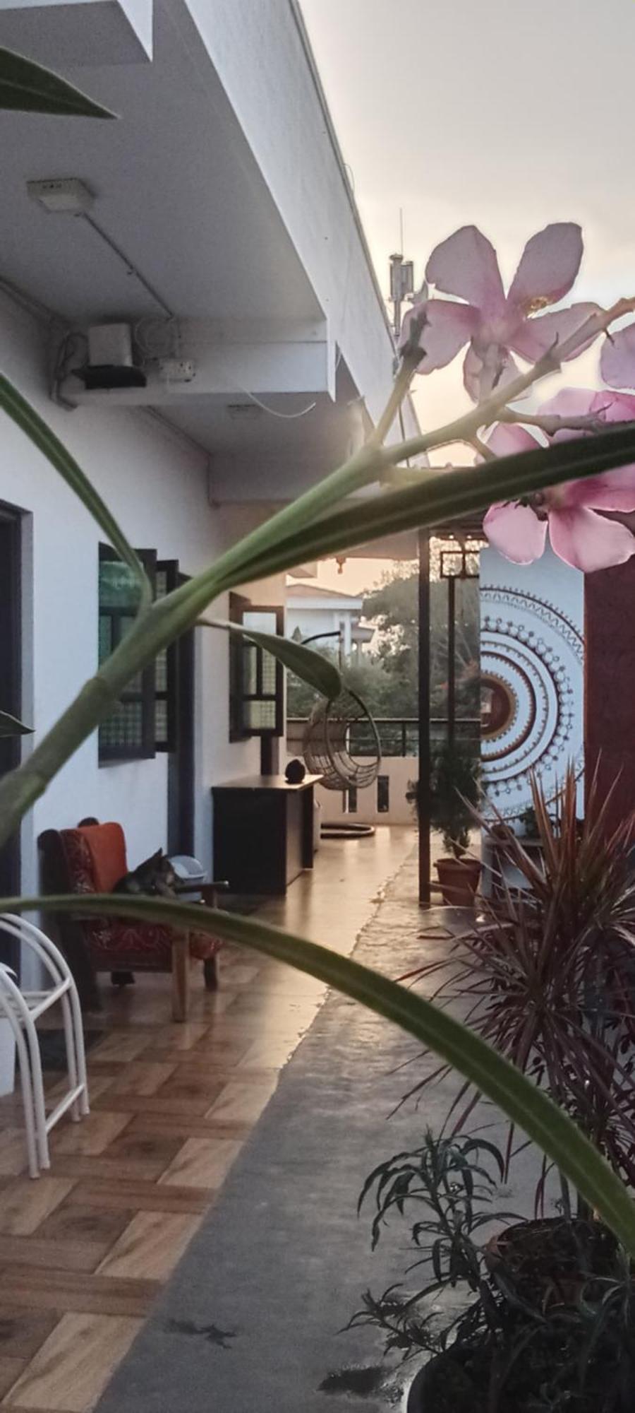 Arasu Homestay Antharasanthe Dış mekan fotoğraf